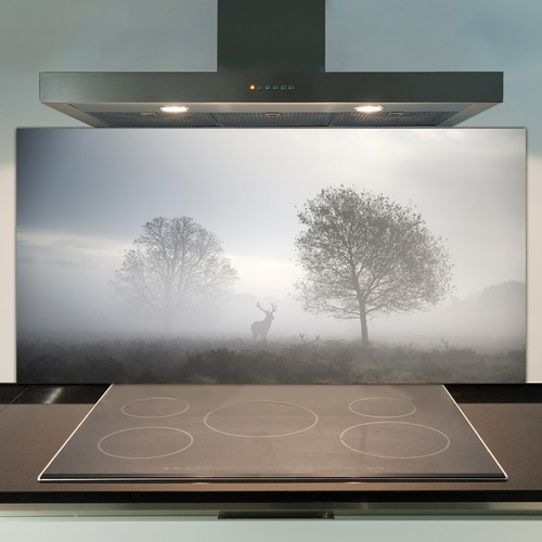 Glass kitchen splashback - kitchen, tile