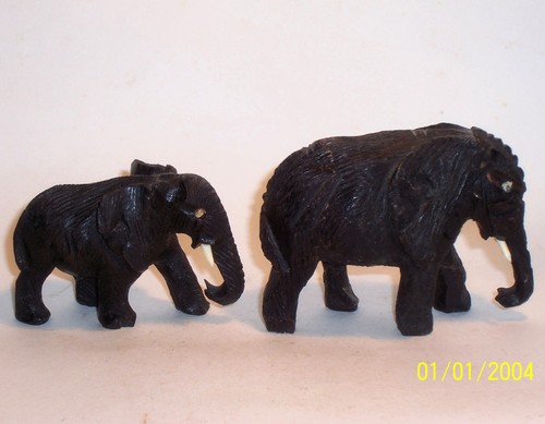 Old elephants hand - elephants,