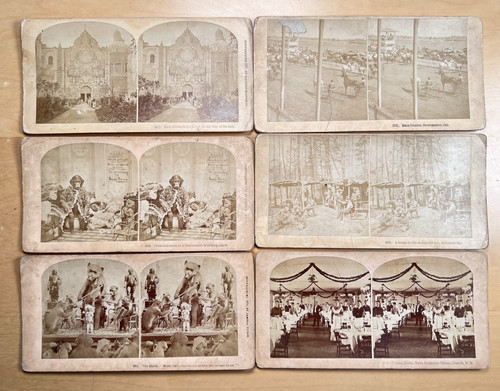 1870 taxidermy stereo view - c.1870,