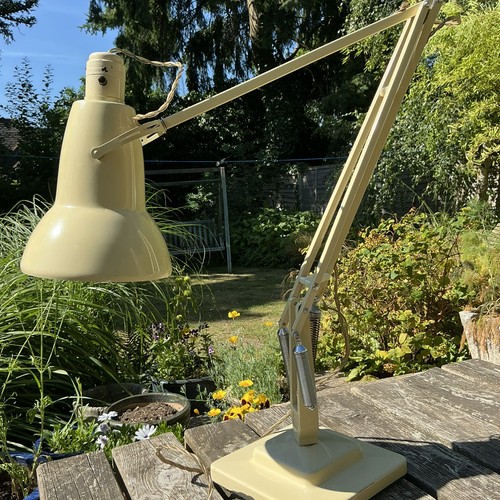 Vtg herbert terry anglepoise - vtg,