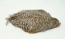 ROOSTER CAPE NECK Hackle Fly