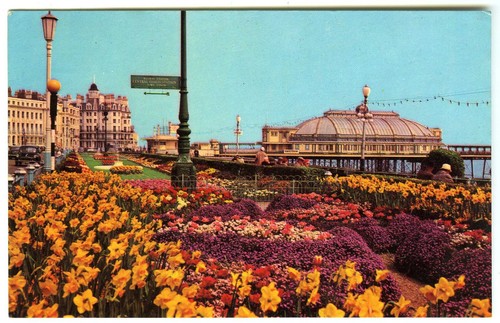 1970 postcard the pier - postcard,