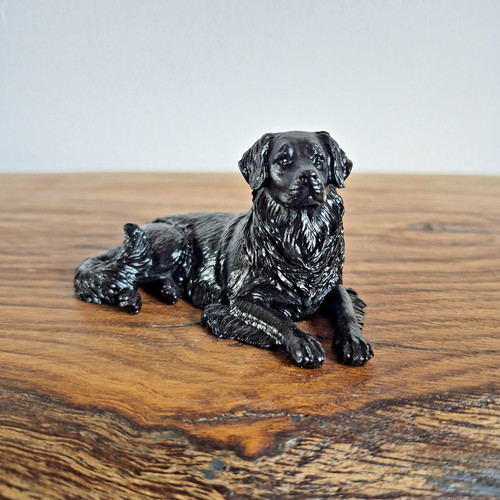 Black labrador retriever - black,