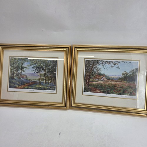 David crane pair - david, of
