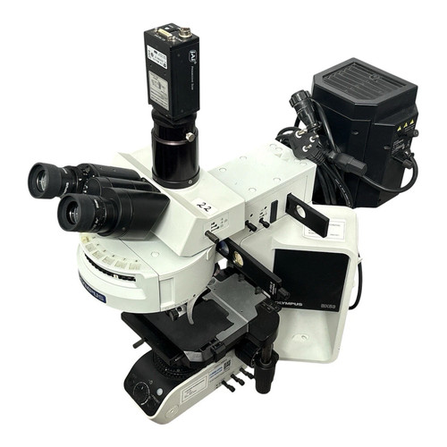 Olympus bx53 fluorescence - olympus,