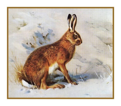Naturalist archibald thorburn - naturalist,