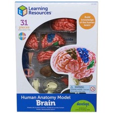 Learning Resources Brain Anatomy Model 31 Piece Set with Stand& Guide Ages 8-10