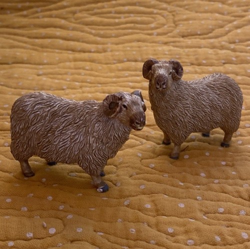 Aaa elc lamb sheep - aaa,