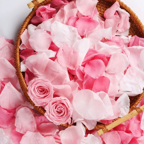 Real freeze dried rose - real,