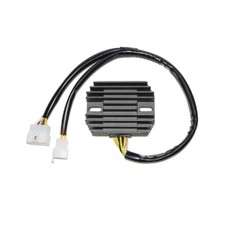 ELECTROSPORT REGULATOR VN