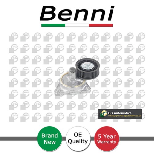 Tensioner pulley lever benni - tensioner,