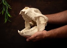 XL Lifesize Panda – 26cm