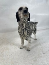 English setter border - setter,