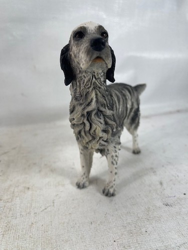 English setter border fine - english,