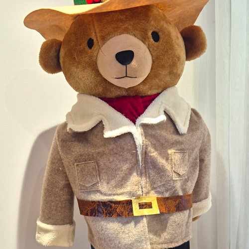 Plush teddy bear - bear, cowboy