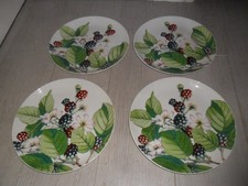 Portmeirion Eden Fruits 11" plates X4 Beautiful Design-GOOD CONDITION