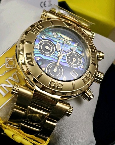Invicta subaqua noma - -,