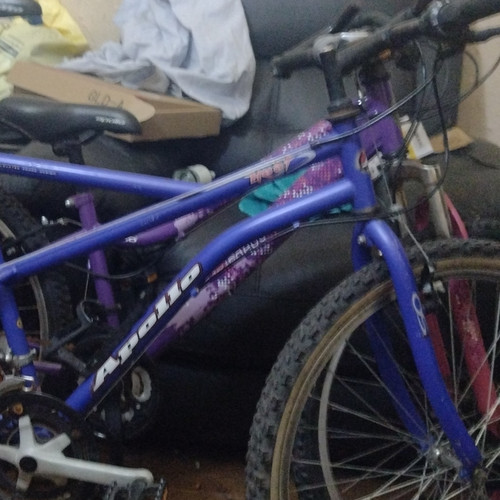 Apollo purple blue mountain - apollo, purple/blue