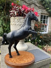 Rearing Black Stallion Horse