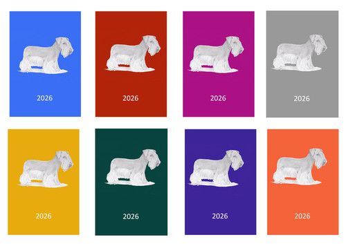 Cesky terrier 2026 - terrier, diary: