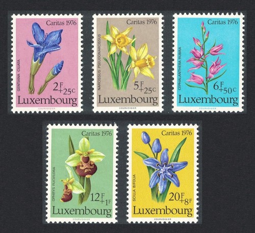 Luxembourg orchids protected - luxembourg,
