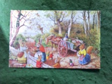 ART CARD  RACEY HELPS The vegetable seller Medici