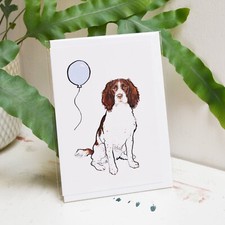 Springer Spaniel Birthday Card
