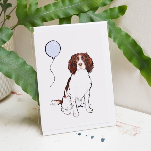 Springer spaniel birthday card - springer,