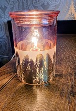Scentsy Pink & Gold Feathers