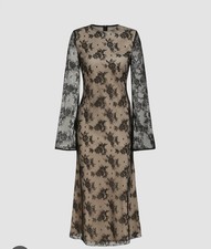 Cider Lace Round Neckline