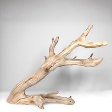 20.25" Manzanita Driftwood