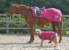 MAXIMA FLEECE EXERCISE SHEET - PINK HEART - 4 SIZES