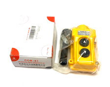 Yuequing Rili Electric COB-61