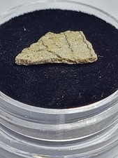 Hadrosaur Egg Shell Late