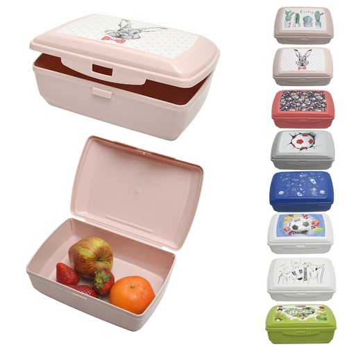 School lunch box - box, children