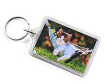 Kitten in Hammock Acrylic