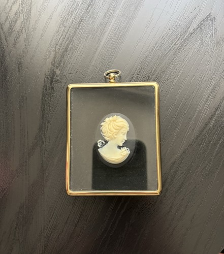 Lady cameo from the - lady,