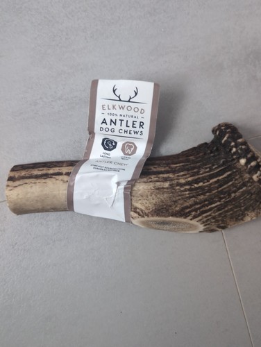Ellwood antler dog chewlong - ellwood,
