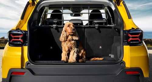 Genuine fiat dog guard pet - genuine,
