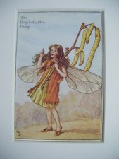 Vintage Flower Fairies Print &