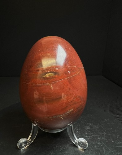 Polished fossilized wood - fossilized, egg