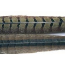 Fly Tying Feathers, Cock