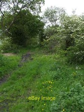 Photo 12x8 Overgrown Bridleway
