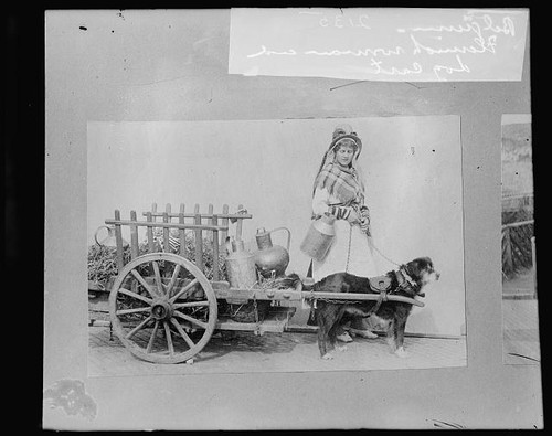 Photo belgium flemish woman - photo:belgium,