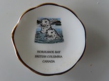 Horseshoe bay , british