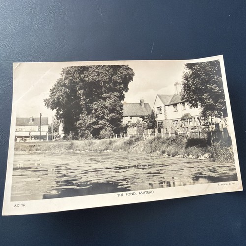 Raphael tuck postcard - tuck, pond