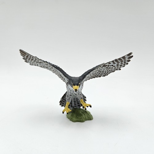 Peregrine falcon bird animal - falcon,