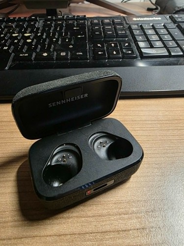 Sennheiser momentum true - sennheiser,