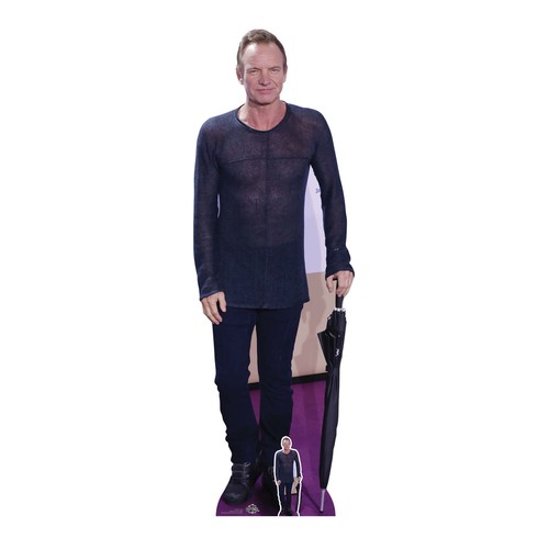 Sting musician lifesize - musician,