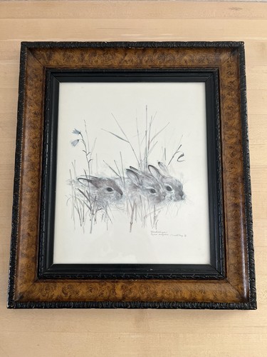 Vintage denmark european hare - vintage,